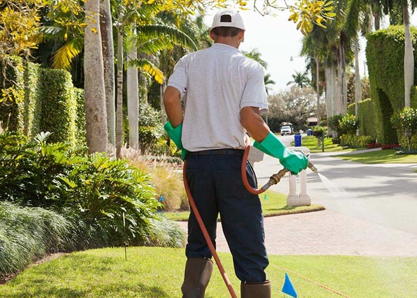 About Eden UT Pest Control